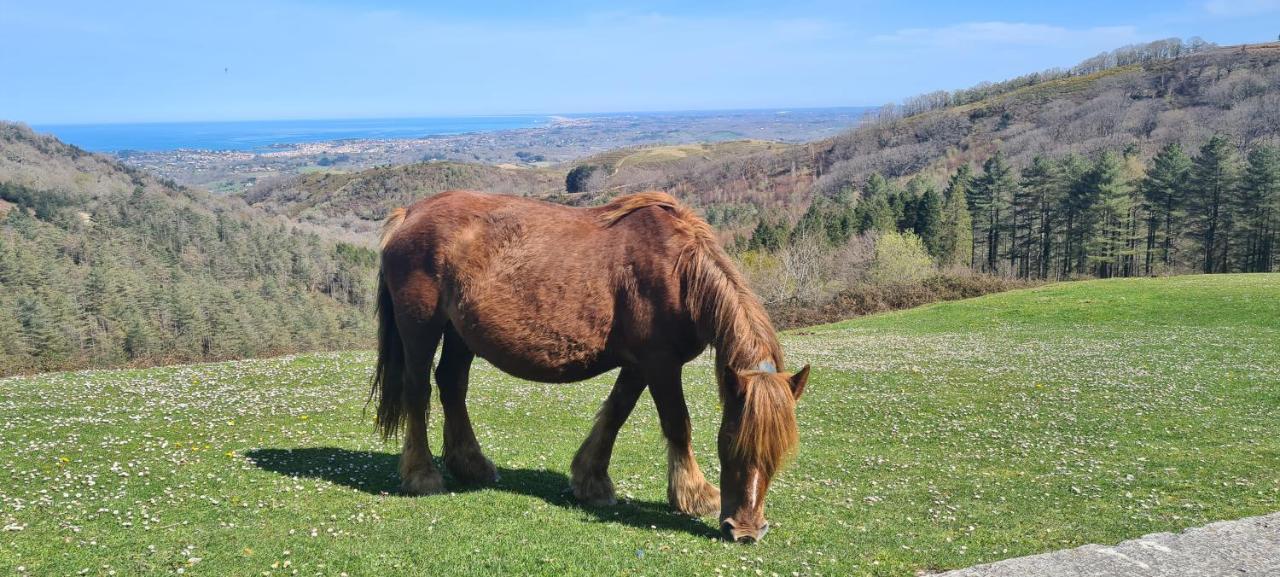 Les fougères A81 Les villages sous les pins LEON 40550 Esterno foto