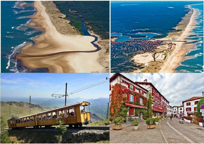 Les fougères A81 Les villages sous les pins LEON 40550 Esterno foto
