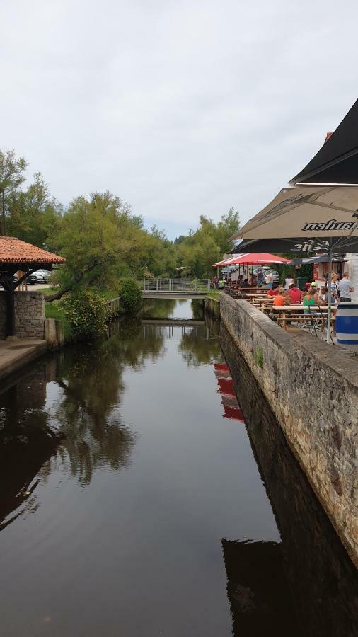 Les fougères A81 Les villages sous les pins LEON 40550 Esterno foto
